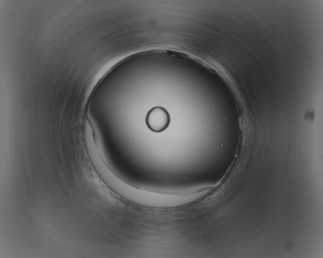 X0000110730956200906261516