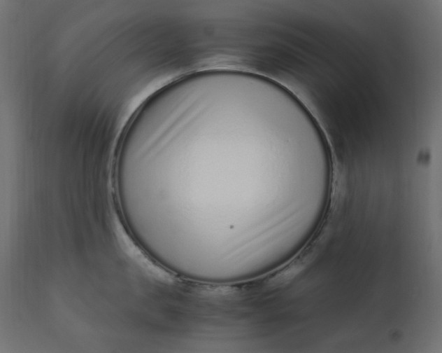 X0000110730957200906261516