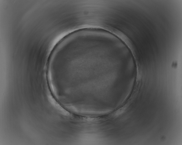 X0000110730958200906261516