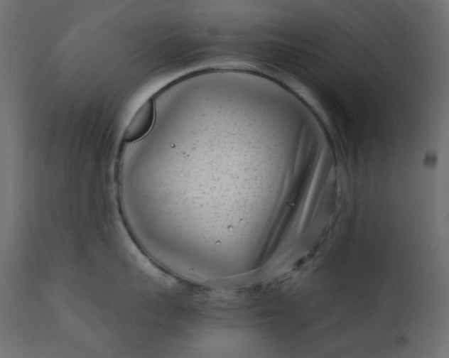 X0000110730959200906261516