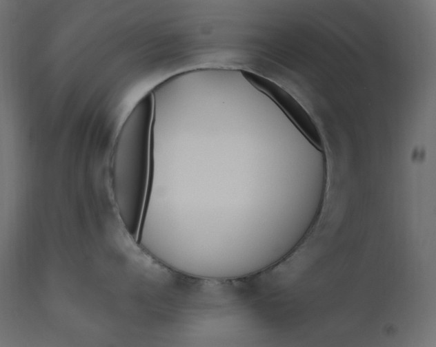 X0000110730960200906261516