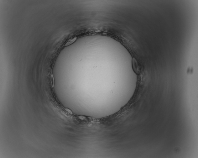 X0000110730961200906261515