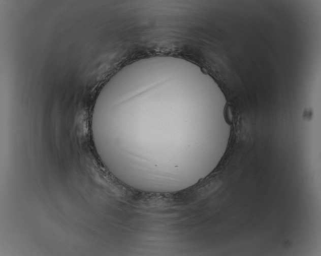 X0000110730962200906261515