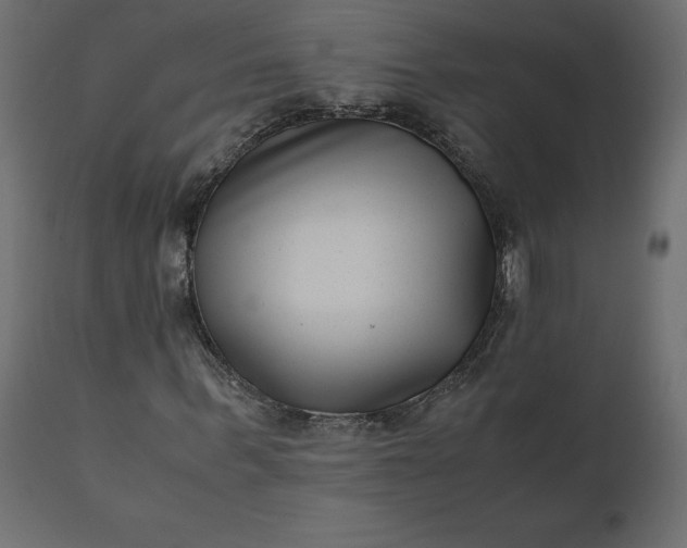 X0000110730963200906261515