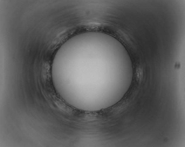 X0000110730964200906261515