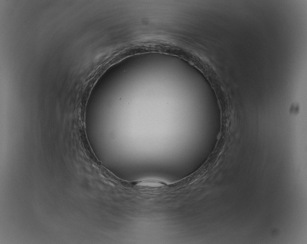 X0000110730965200906261515