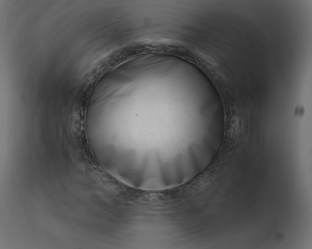 X0000110730966200906261515