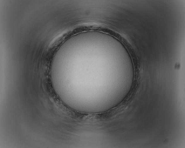 X0000110730967200906261515