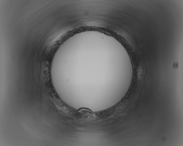 X0000110730968200906261515