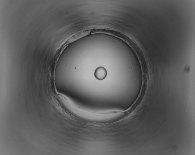 X0000110730969200906261515