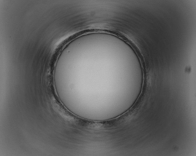 X0000110730971200906261515