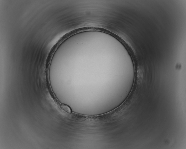 X0000110730972200906261515