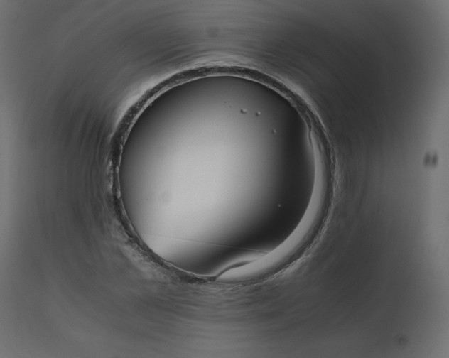 X0000110730973200906261515