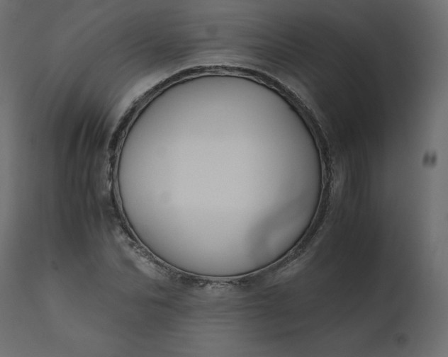 X0000110730974200906261515