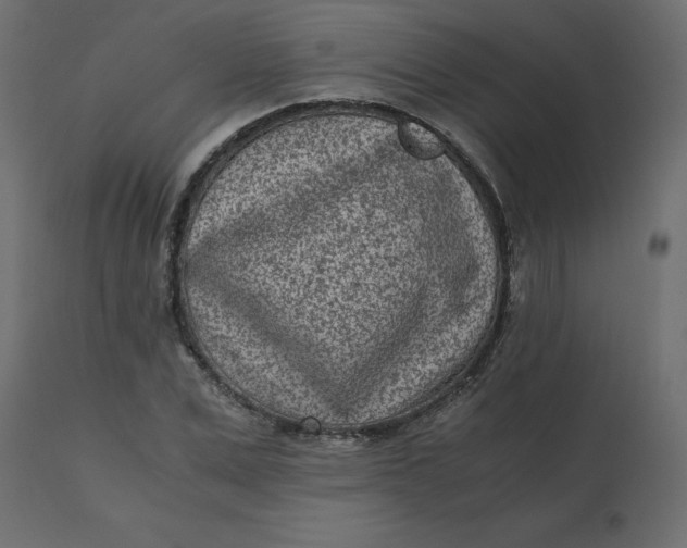 X0000110730975200906261515