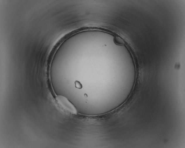 X0000110730976200906261515