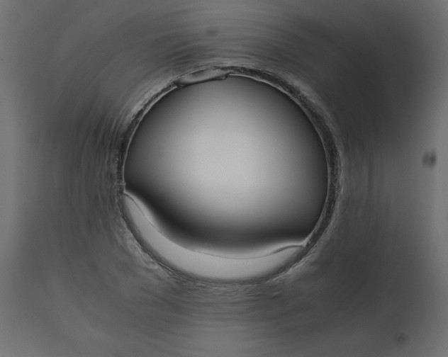 X0000110730977200906261515