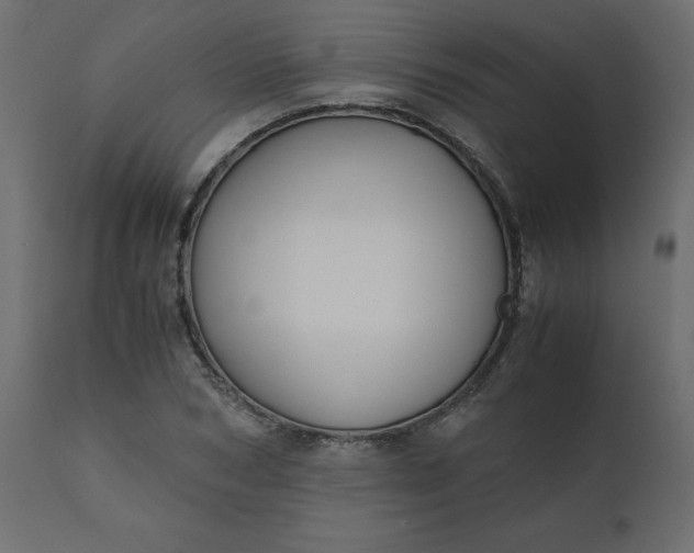 X0000110730978200906261515