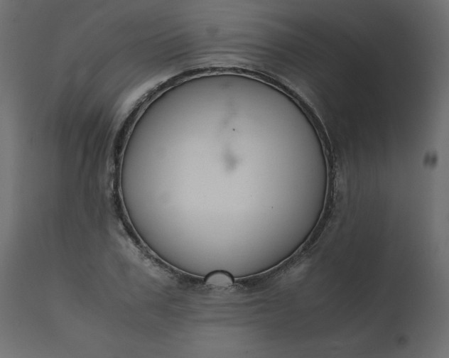 X0000110730979200906261515