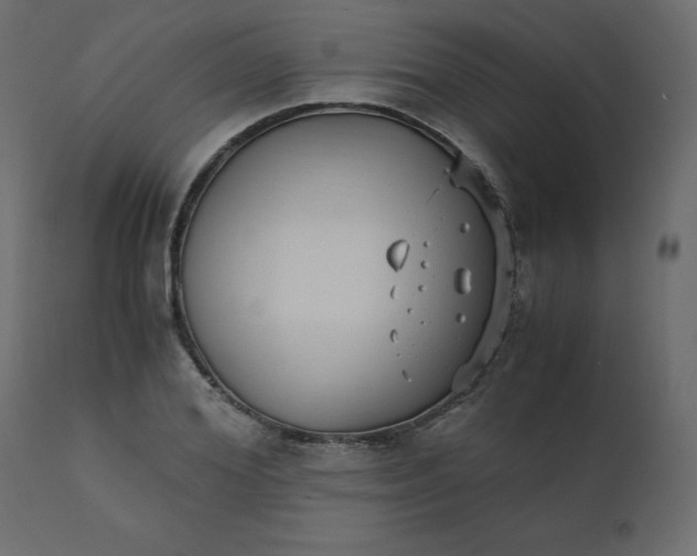 X0000110730980200906261515