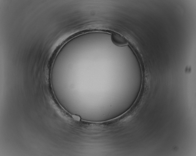 X0000110730981200906261515