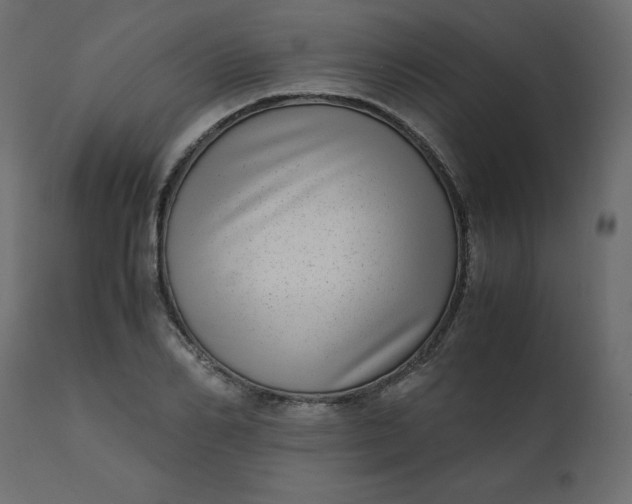 X0000110730982200906261515