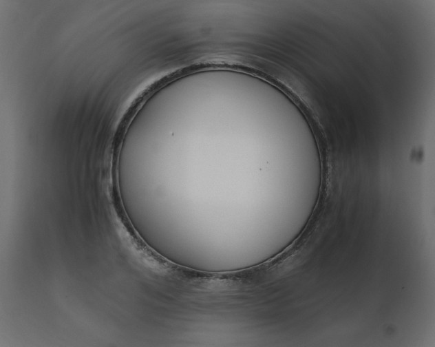 X0000110730984200906261515