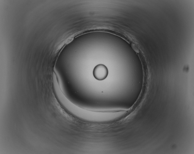 X0000110730985200906261515