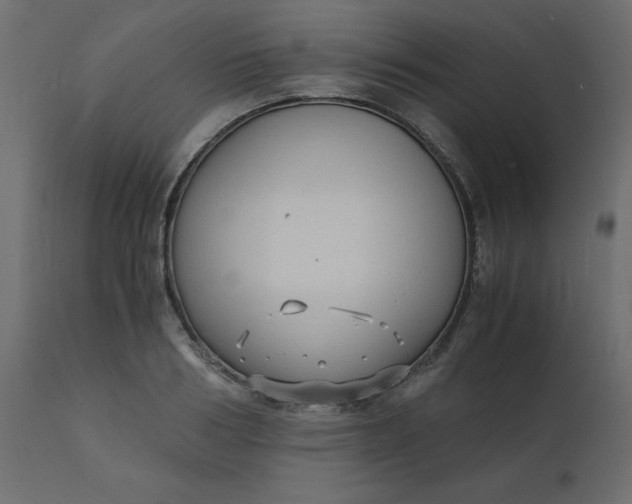 X0000110730986200906261515