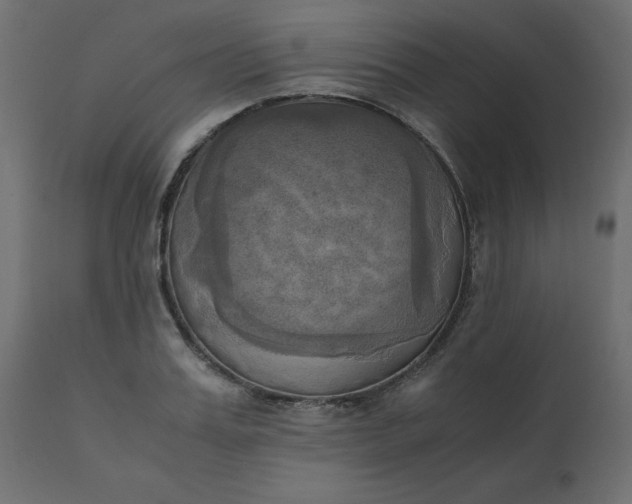 X0000110730987200906261515