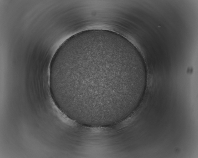 X0000110730988200906261515