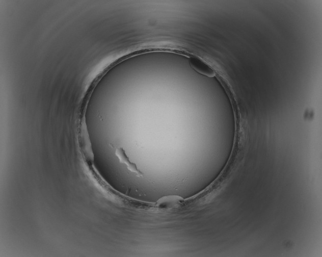 X0000110730989200906261515