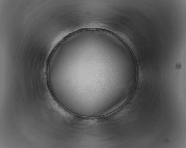 X0000110730990200906261515