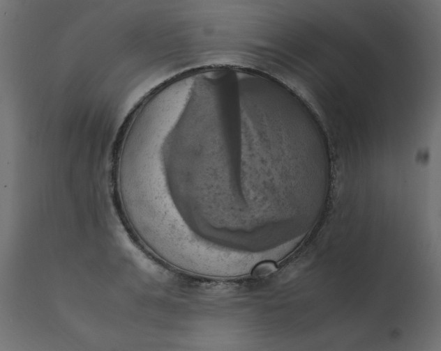 X0000110730991200906261515