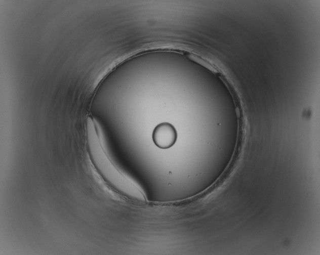 X0000110730993200906261515