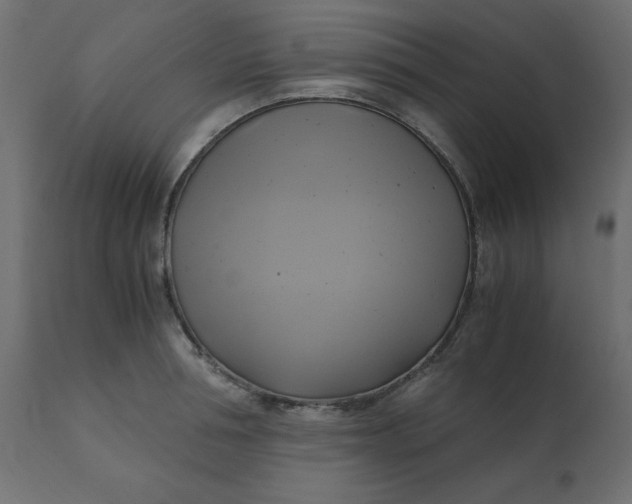 X0000110730994200906261515