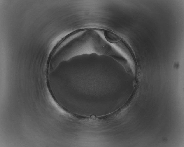 X0000110730995200906261515