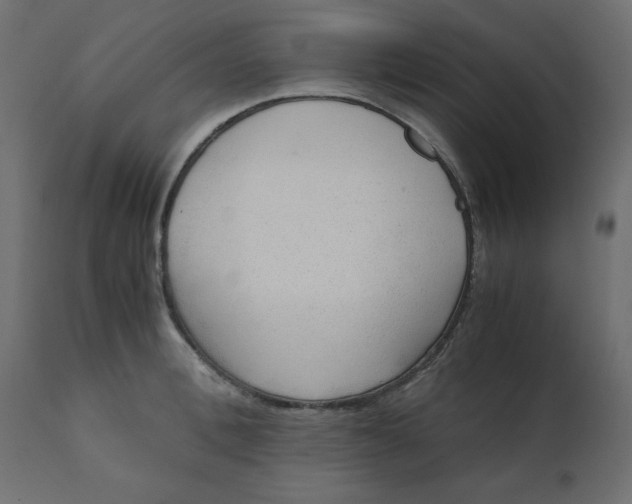 X0000110730996200906261515