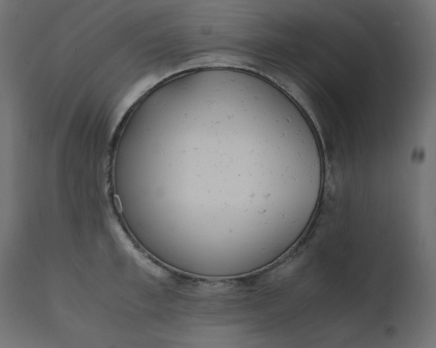 X0000110730997200906261515