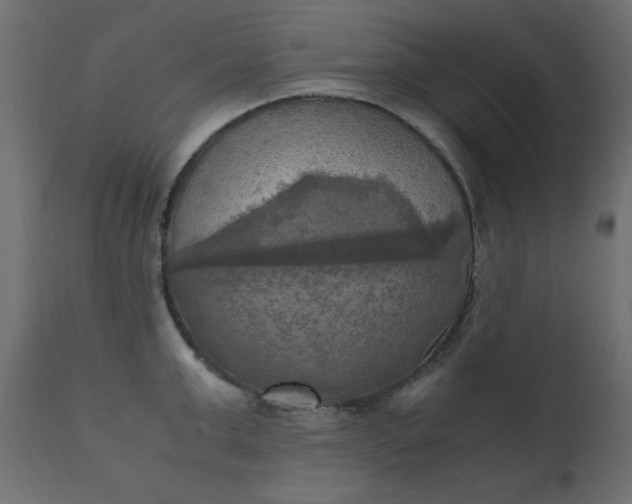 X0000110730999200906261515