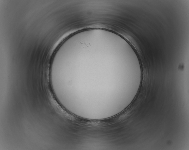 X0000110731000200906261515