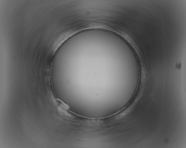 X0000110731001200906261515