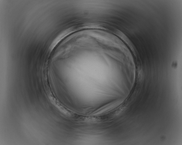 X0000110731002200906261515