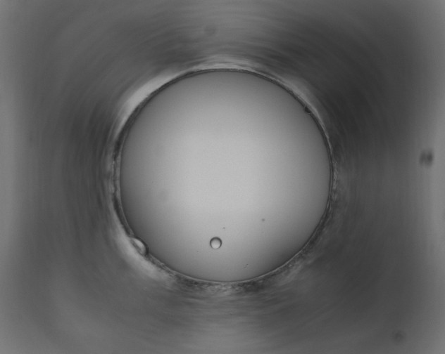 X0000110731003200906261515