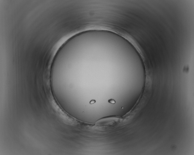 X0000110731004200906261515