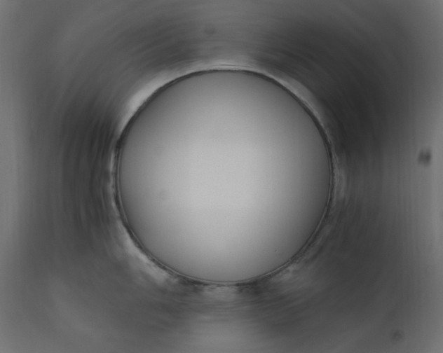 X0000110731006200906261515