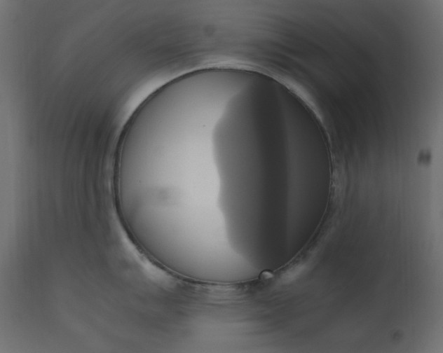 X0000110731007200906261515