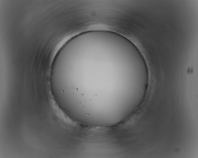 X0000110731008200906261514