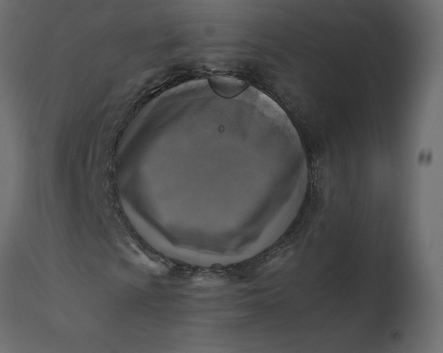 X0000110731009200906261514