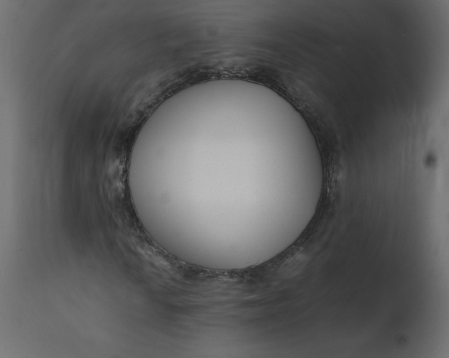 X0000110731010200906261514